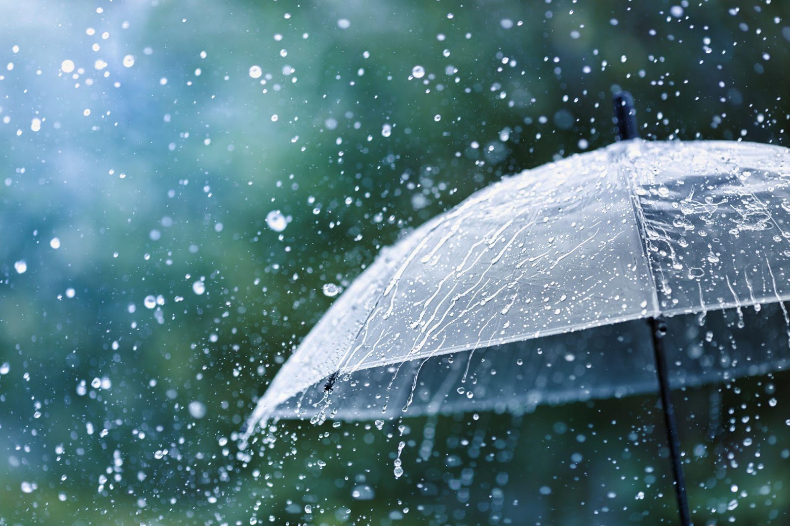 pluie
